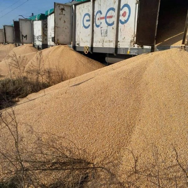 Черговий акт вандалізму у Польщі: з напіввагонів висипали 160 тонн українського зерна
