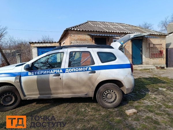 Лисиця, яку спіймали у середмісті Кропивницького, перебуває у ветлікарні (ФОТО)