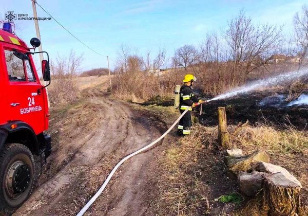 Вигоріло 8 гектарів землі: на Кіровоградщині за добу 28 разів гасили пожежі сухої трави (ФОТО)