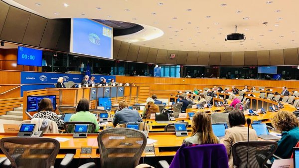 Олесь Довгий у Європарламенті: "Україна потребує міжнародної допомоги у розбудові центрів травми та реабілітації"