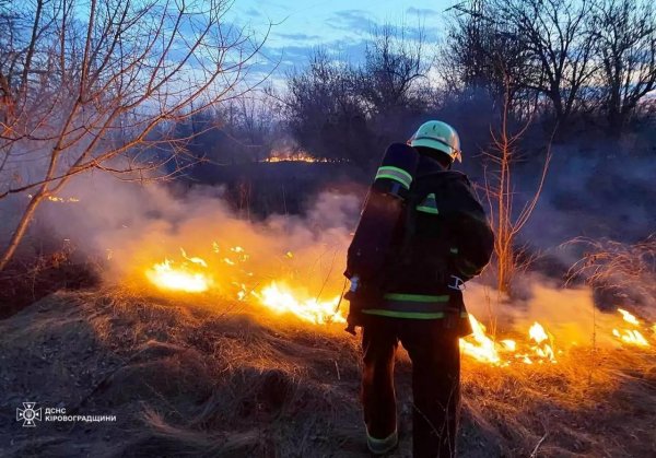 На Кіровоградщині за добу загасили 36 пожеж в екосистемі, вигоріло 13 гектарів землі (ФОТО)