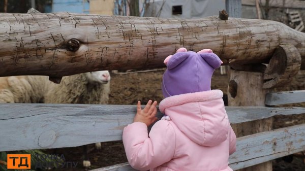 У Кропивницькому палили опудало зими та стріляли з лука в портрет Путіна (ФОТО)