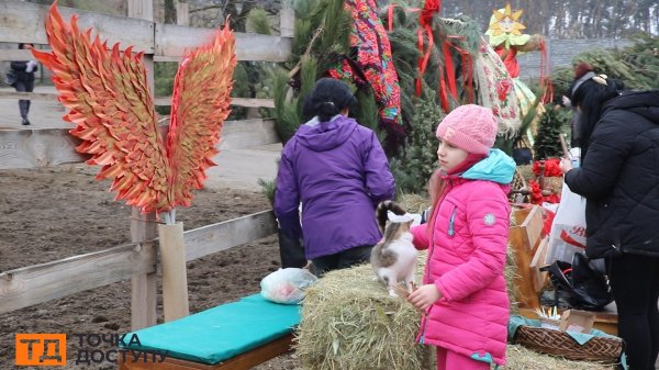 У Кропивницькому палили опудало зими та стріляли з лука в портрет Путіна (ФОТО)