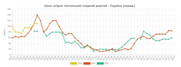 В Україні знизились ціни на тепличні огірки - EastFruit