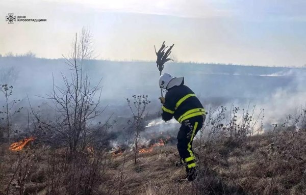 Вигоріло 8 гектарів землі: на Кіровоградщині за добу 28 разів гасили пожежі сухої трави (ФОТО)