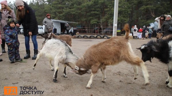 У Кропивницькому палили опудало зими та стріляли з лука в портрет Путіна (ФОТО)