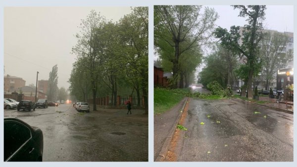 Повалені дерева й обірвані дроти: наслідки негоди у Кропивницькому (ФОТО)