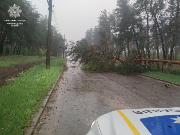 Через повалені дерева на деяких вулицях Кропивницького ускладнений рух (АДРЕСИ)
