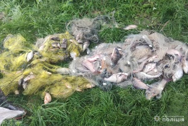Житель Кіровоградщини виловив сітками риби на 600 тисяч гривень (ФОТО)