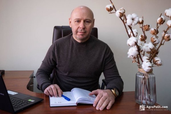 Як Україні відродити вирощування бавовнику для «бавовни» на Росії