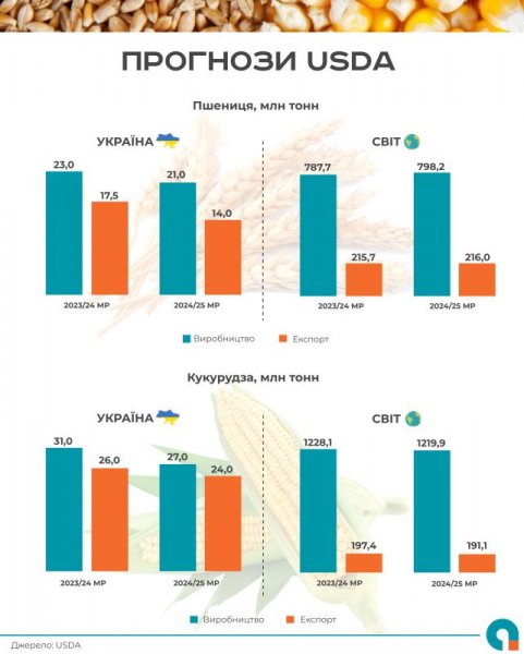 USDA прогнозує скорочення виробництва та експорту української пшениці