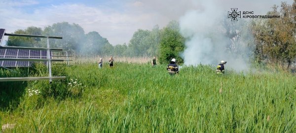 Тіло чоловіка виявили на пожежі сухої трави і очерету у селі на Кіровоградщині