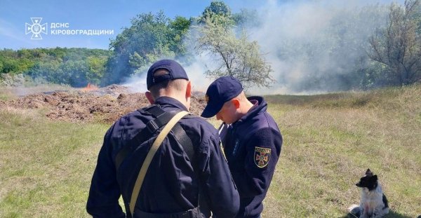 Хотів спалити сухостій: на Кіровоградщині оштрафували чоловіка (ФОТО)