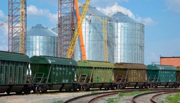 Із початку травня зріс обсяг передачі зерна залізницею до Словаччини - експерти