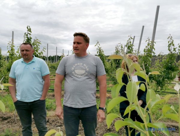 Грушеві сади і теплиці з суницею. Як допомагають державні гранти