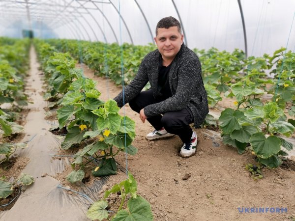 Грушеві сади і теплиці з суницею. Як допомагають державні гранти