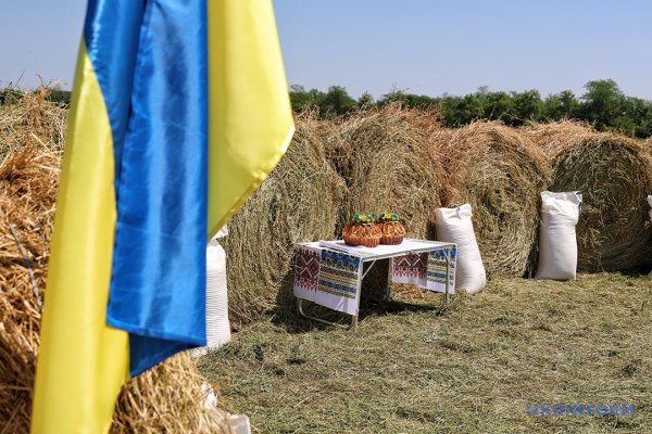 Із пшениці від одеських селекціонерів виходить чудовий хліб