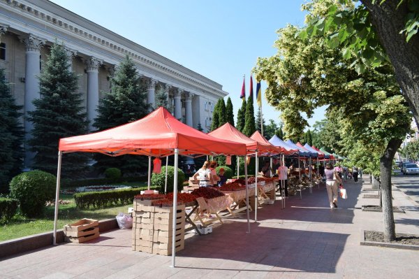 У Кропивницькому відбувся полуничний ярмарок (ФОТО)