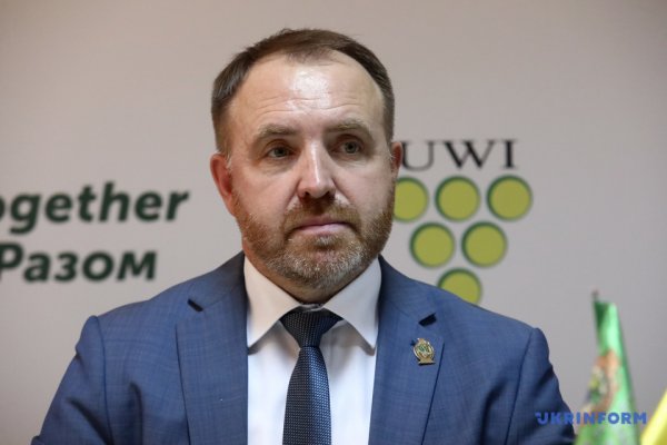 В Україні прогнозують менший урожай винограду