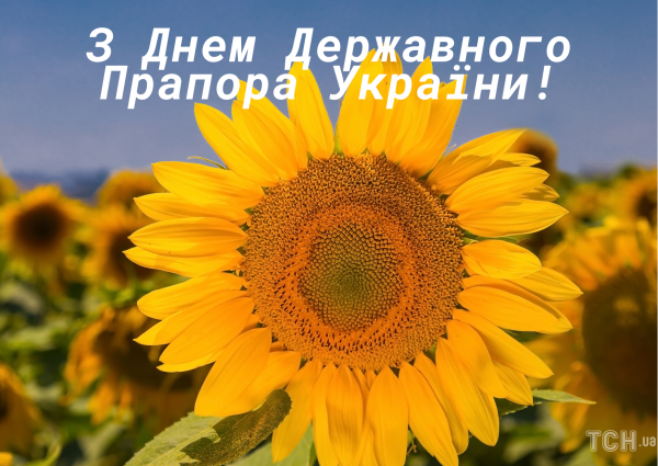 
Привітання з Днем Державного Прапора України 2024 року: картинки українською, проза, вірші
