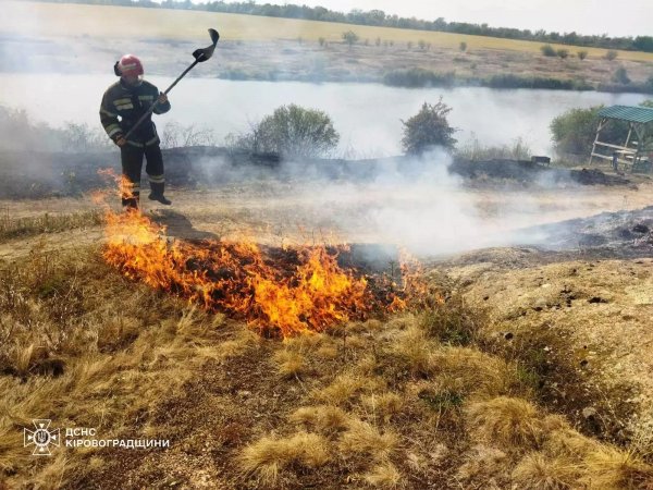 На Кіровоградщині за добу загасили 42 пожежі в екосистемі: які штрафи передбачені за підпал сухої трави