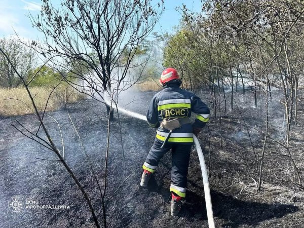 На Кіровоградщині за минулу добу сталося 34 пожежі на відкритих територіях