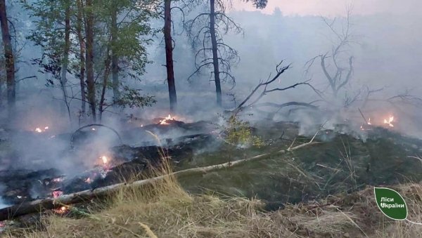 Через масований обстріл російською армією два дні гасили пожежу в лісах Кіровоградщини (ФОТО)