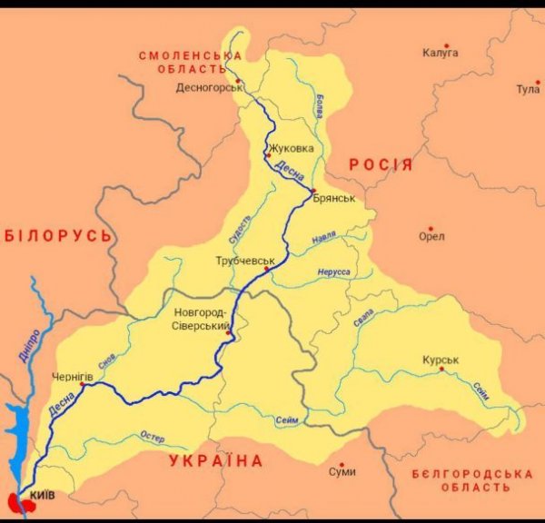 
У Десні під Києвом виявили отруйні речовини з Росії?: чи дійсно існує загроза
