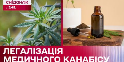 
В Україні легалізували медичний канабіс: що це тепер змінює
