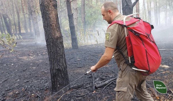 Через масований обстріл російською армією два дні гасили пожежу в лісах Кіровоградщини (ФОТО)