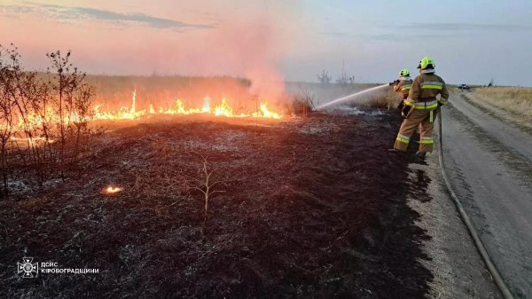 На Кіровоградщині за минулу добу сталося 34 пожежі на відкритих територіях