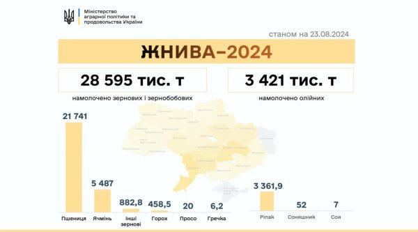 В Україні намолотили понад 32 мільйони тонн зернових та олійних