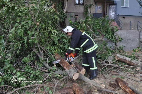 Вітер повалив дерева у Кропивницькому та області: наслідки негоди ліквідували рятувальники (ФОТО)