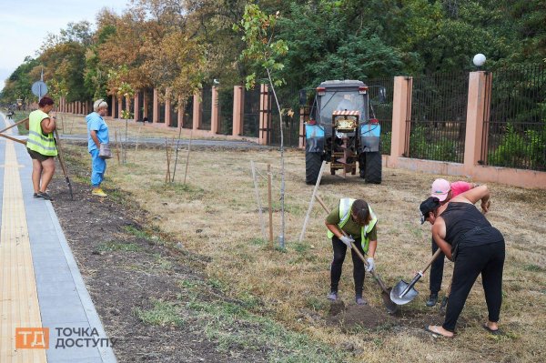 Одне дерево для трьох Героїв: у Кропивницькому рідні загиблих військових обурені організацією висадження Алеї пам’яті