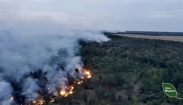 Пожежу гасили чотири доби: внаслідок російського обстрілу на Кіровоградщині згоріли понад 100 га лісу