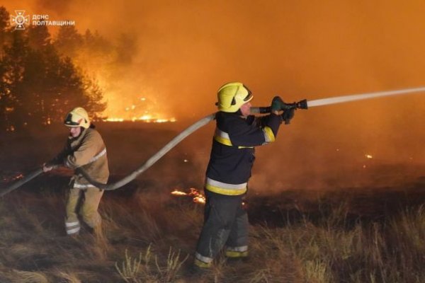 
В Україні спалахнула масштабна пожежа: в ДСНС повідомили, що і де горить (фото)
