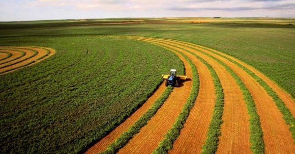 Проєкт «Земельний банк»: як Україна вчиться заробляти на державній землі