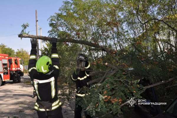 Вітер повалив дерева у Кропивницькому та області: наслідки негоди ліквідували рятувальники (ФОТО)