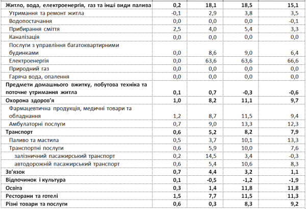 Інфляція з початку року прискорилася до 4,9% - як зросли ціни