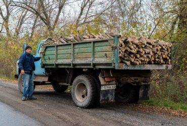 Машина із деревом