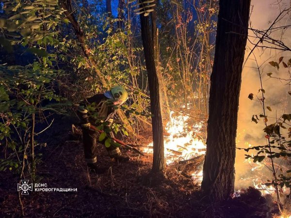 На Кіровоградщині горить ліс: пожежу гасять 15 годин (ФОТО)