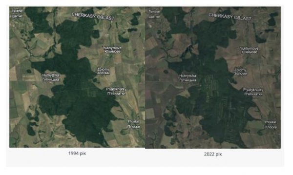 На Кіровоградщині планують взяти під охорону унікальні ліси: розповідаємо про створення національного природного парку