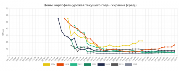 В Україні продовжує дорожчати картопля