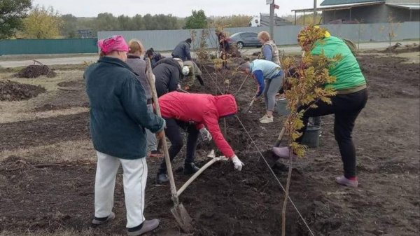 Створили парк і алею пам’яті на честь воюючих і загиблих захисників в селі Кіровоградської області