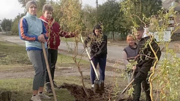 Створили парк і алею пам’яті на честь воюючих і загиблих захисників в селі Кіровоградської області