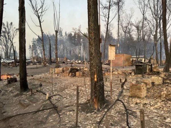 
Згоріло ціле селище: через лісову пожежу на Харківщині загинули люди, понад тисячу будинків знищено (фото)
