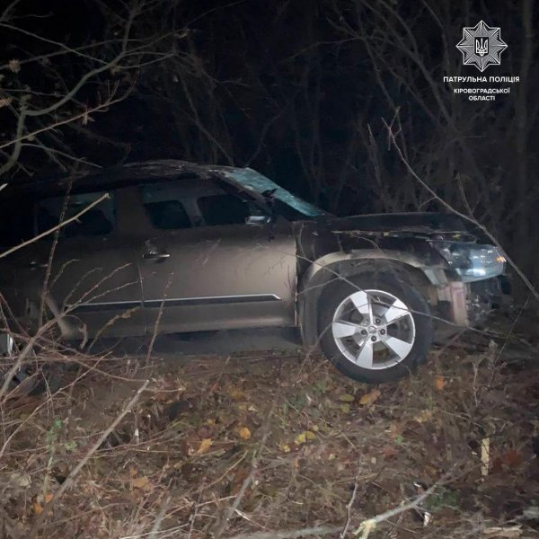 Поблизу Кропивницького сталася ДТП: автівка злетіла в кювет (ФОТО)