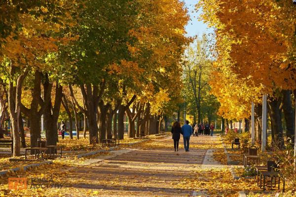 Осінь у Кропивницькому. Світлини з парку Перемоги (ФОТОРЕПОРТАЖ)