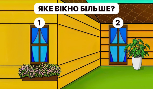 Яке вікно більше: треба мати високий IQ, щоб дати правильну відповідь за 5 секунд