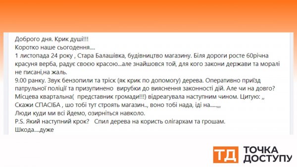 Чи намагалися спиляти 60-річну вербу в Кропивницькому: що кажуть фахівці та правоохоронці